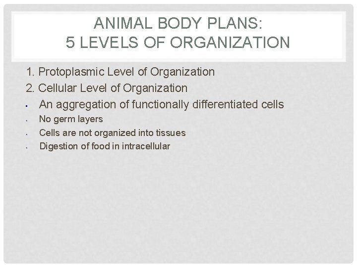 ANIMAL BODY PLANS: 5 LEVELS OF ORGANIZATION 1. Protoplasmic Level of Organization 2. Cellular