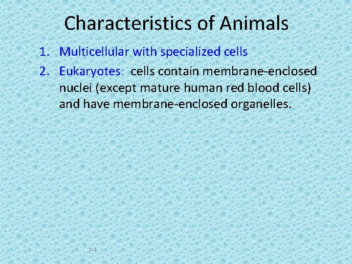 Characteristics of Animals 1. Multicellular with specialized cells 2. Eukaryotes: cells contain membrane-enclosed nuclei