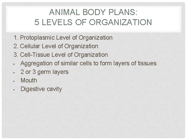 ANIMAL BODY PLANS: 5 LEVELS OF ORGANIZATION 1. Protoplasmic Level of Organization 2. Cellular