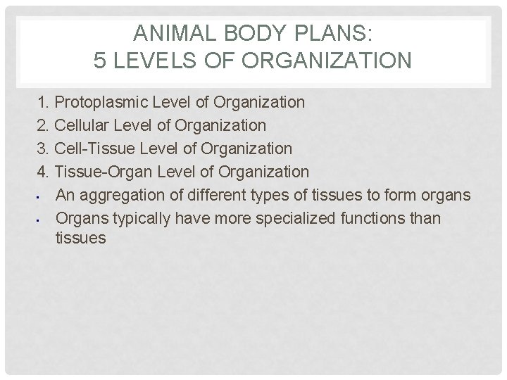 ANIMAL BODY PLANS: 5 LEVELS OF ORGANIZATION 1. Protoplasmic Level of Organization 2. Cellular
