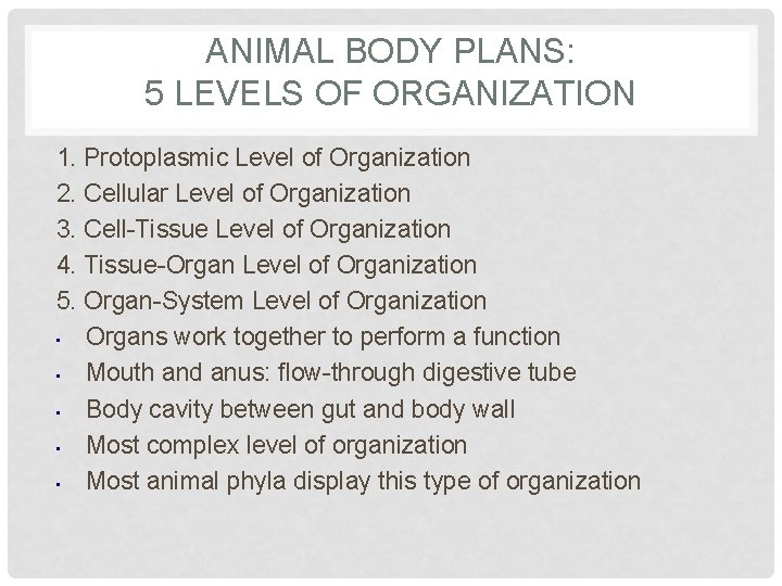 ANIMAL BODY PLANS: 5 LEVELS OF ORGANIZATION 1. Protoplasmic Level of Organization 2. Cellular