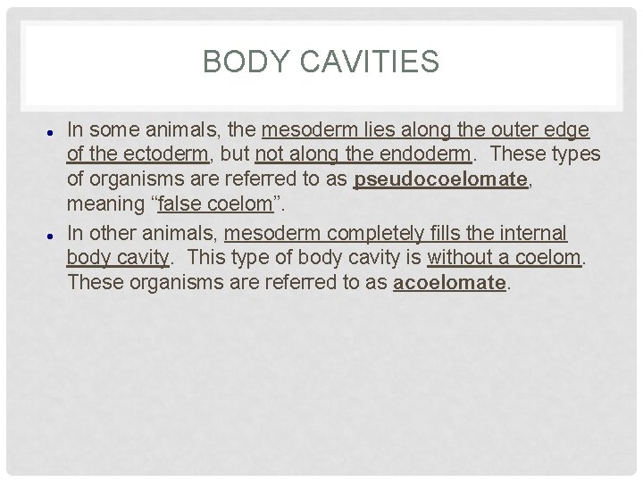 BODY CAVITIES In some animals, the mesoderm lies along the outer edge of the