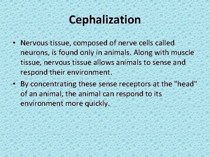 Cephalization • Nervous tissue, composed of nerve cells called neurons, is found only in