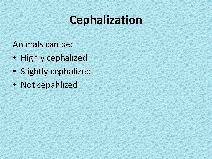 Cephalization Animals can be: • Highly cephalized • Slightly cephalized • Not cepahlized 