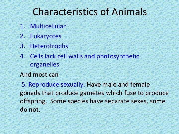 Characteristics of Animals 1. 2. 3. 4. Multicellular Eukaryotes Heterotrophs Cells lack cell walls