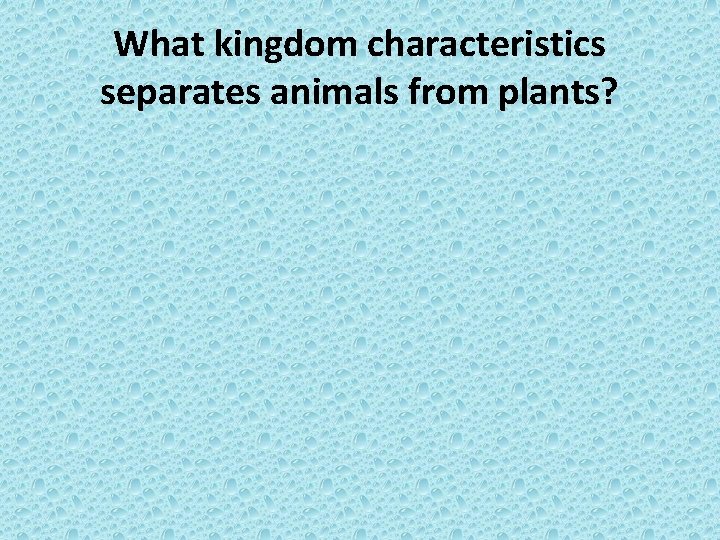 What kingdom characteristics separates animals from plants? 