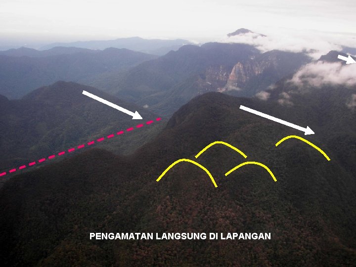 PENGAMATAN LANGSUNG DI LAPANGAN 