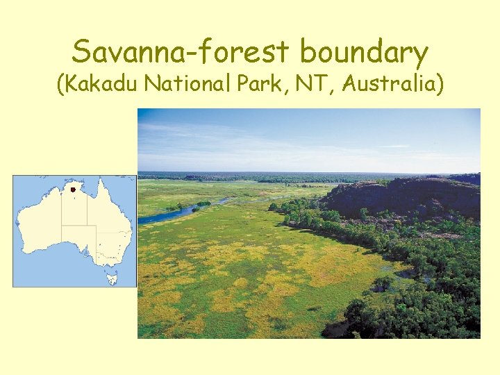 Savanna-forest boundary (Kakadu National Park, NT, Australia) 