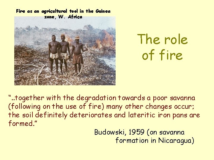 Fire as an agricultural tool in the Guinea zone, W. Africa The role of