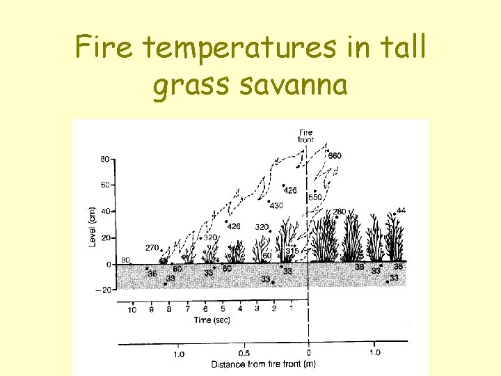 Fire temperatures in tall grass savanna 