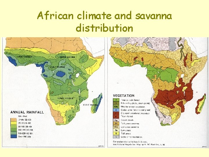 African climate and savanna distribution 