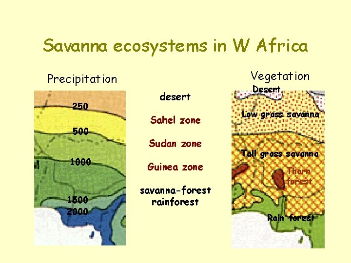 Savanna ecosystems in W Africa Vegetation Precipitation 250 500 1000 1500 2000 desert Sahel
