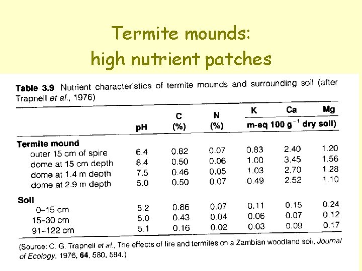 Termite mounds: high nutrient patches 