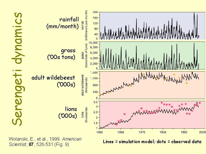 Serengeti dynamics rainfall (mm/month) grass (‘ 00 s tons) adult wildebeest (‘ 000 s)