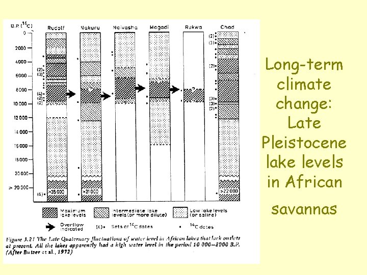 Long-term climate change: Late Pleistocene lake levels in African savannas 