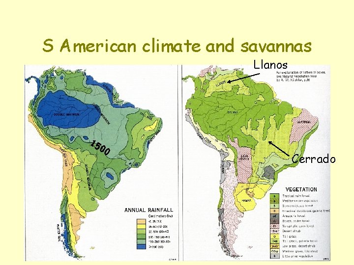 S American climate and savannas Llanos 15 00 Cerrado 