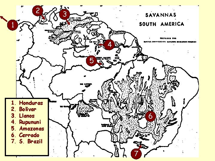 2 3 1 4 5 1. 2. 3. 4. 5. 6. 7. Honduras Bolivar