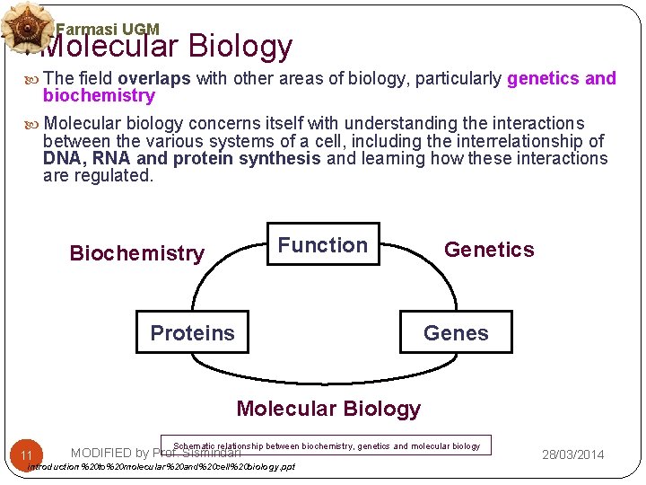 Farmasi UGM Molecular Biology The field overlaps with other areas of biology, particularly genetics