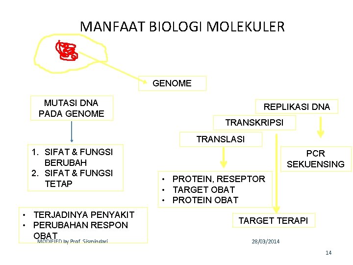 MANFAAT BIOLOGI MOLEKULER GENOME MUTASI DNA PADA GENOME REPLIKASI DNA TRANSKRIPSI TRANSLASI 1. SIFAT