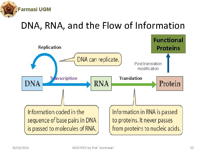 Farmasi UGM DNA, RNA, and the Flow of Information Functional Proteins Replication Post translation