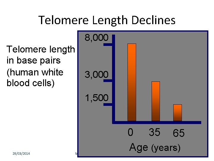 Telomere Length Declines 8, 000 Telomere length in base pairs (human white 3, 000