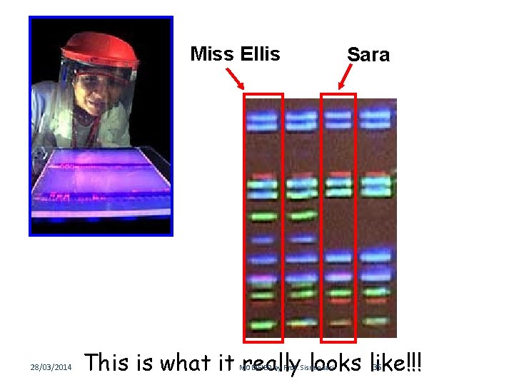 Miss Ellis 28/03/2014 Sara This is what it really looks like!!! MODIFIED by Prof.