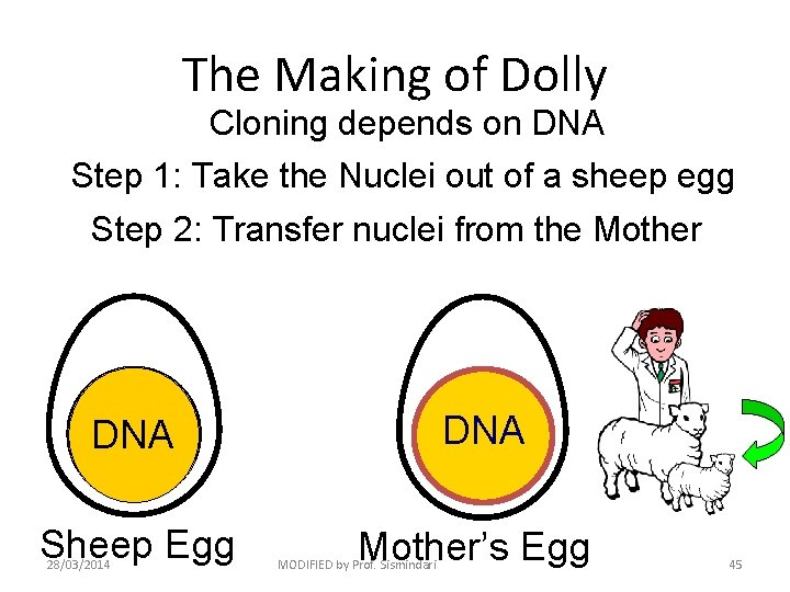 The Making of Dolly Cloning depends on DNA Step 1: Take the Nuclei out