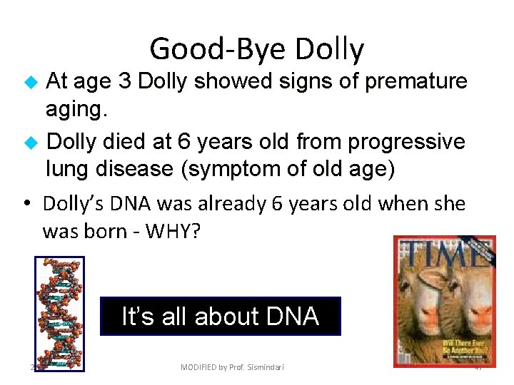 Good-Bye Dolly At age 3 Dolly showed signs of premature aging. u Dolly died