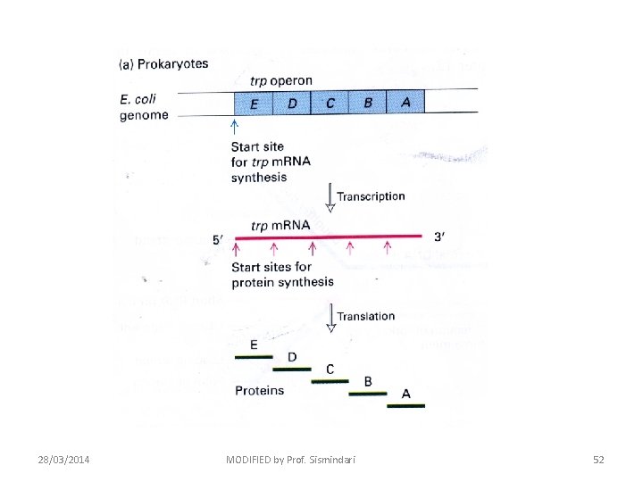 28/03/2014 MODIFIED by Prof. Sismindari 52 