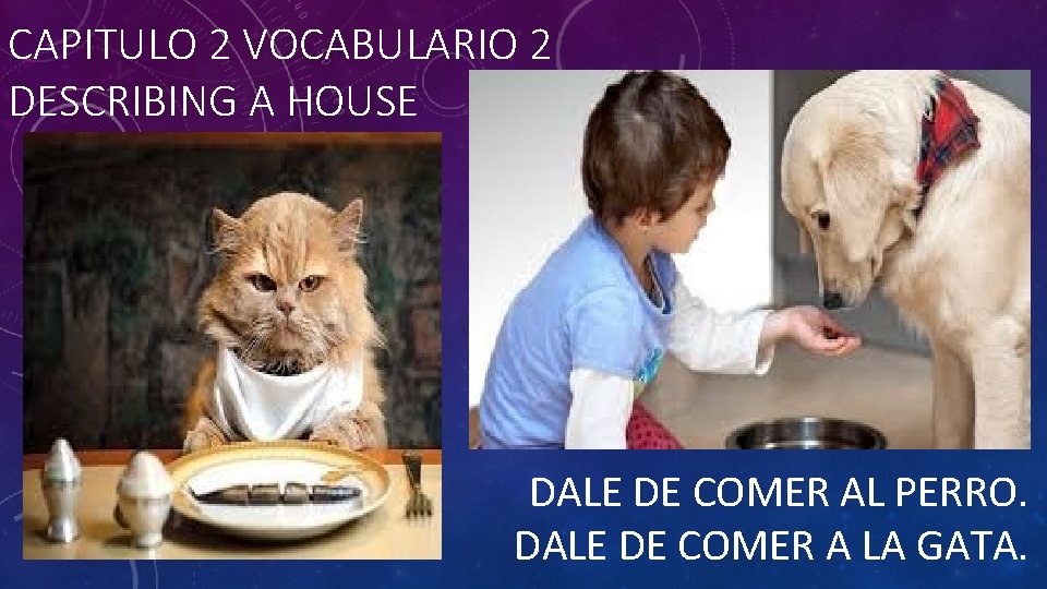 CAPITULO 2 VOCABULARIO 2 DESCRIBING A HOUSE DALE DE COMER AL PERRO. DALE DE