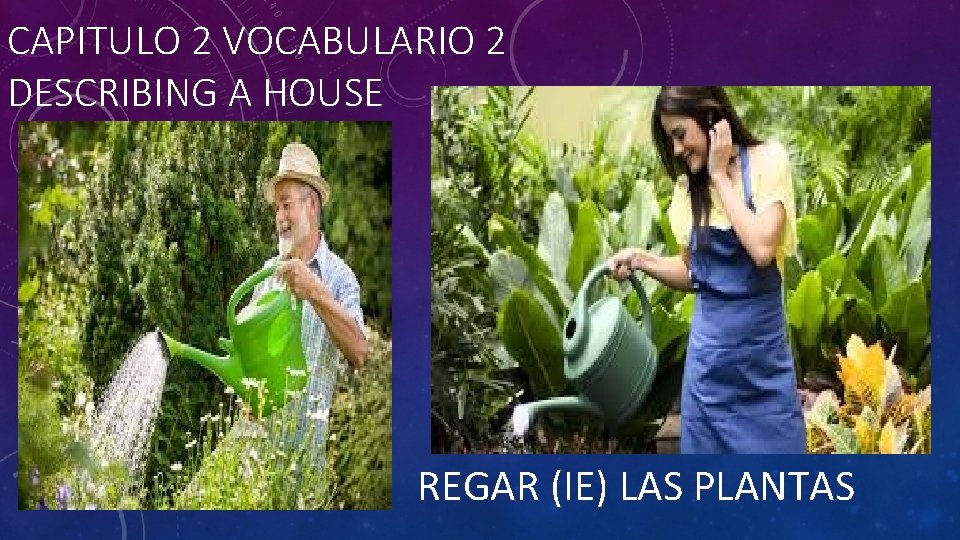 CAPITULO 2 VOCABULARIO 2 DESCRIBING A HOUSE REGAR (IE) LAS PLANTAS 