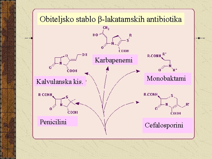 Obiteljsko stablo β-lakatamskih antibiotika Karbapenemi Kalvulanska kis. Penicilini Monobaktami Cefalosporini 
