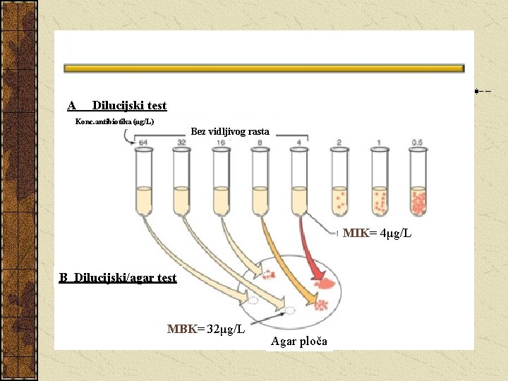 A Dilucijski test Konc. antibiotika (μg/L) Bez vidljivog rasta MIK= 4μg/L B Dilucijski/agar test