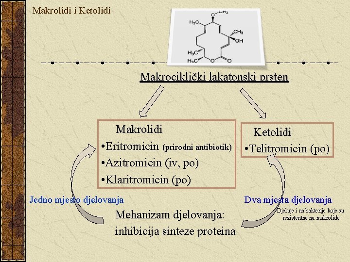 Makrolidi i Ketolidi Makrociklički lakatonski prsten Makrolidi • Eritromicin (prirodni antibiotik) • Azitromicin (iv,