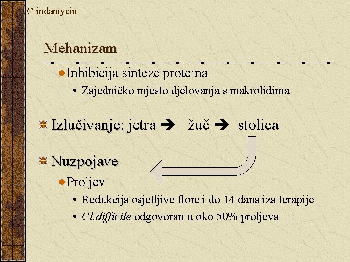 Clindamycin Mehanizam Inhibicija sinteze proteina • Zajedničko mjesto djelovanja s makrolidima Izlučivanje: Izlučivanje jetra