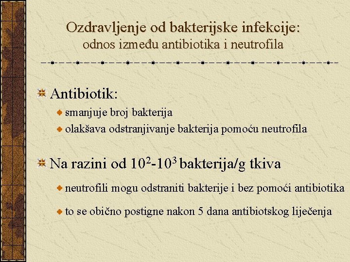 Ozdravljenje od bakterijske infekcije: odnos između antibiotika i neutrofila Antibiotik: smanjuje broj bakterija olakšava