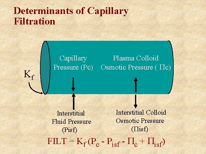 Determinants of Capillary Filtration Kf Capillary Pressure (Pc) Interstitial Fluid Pressure (Pisf) Plasma Colloid