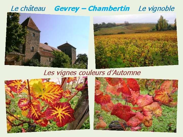Le château Gevrey – Chambertin Le vignoble Les vignes couleurs d’Automne 