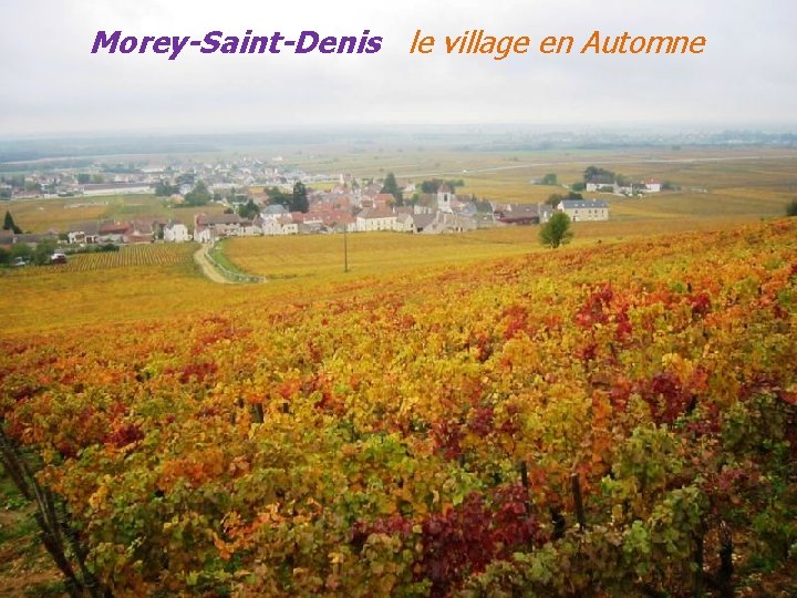 Morey-Saint-Denis le village en Automne 