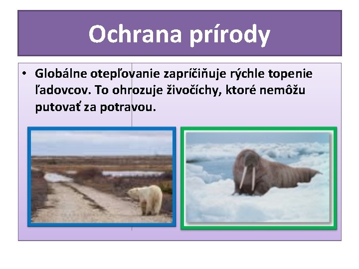 Ochrana prírody • Globálne otepľovanie zapríčiňuje rýchle topenie ľadovcov. To ohrozuje živočíchy, ktoré nemôžu Ochrana prírody • Globálne otepľovanie zapríčiňuje rýchle topenie ľadovcov. To ohrozuje živočíchy, ktoré nemôžu