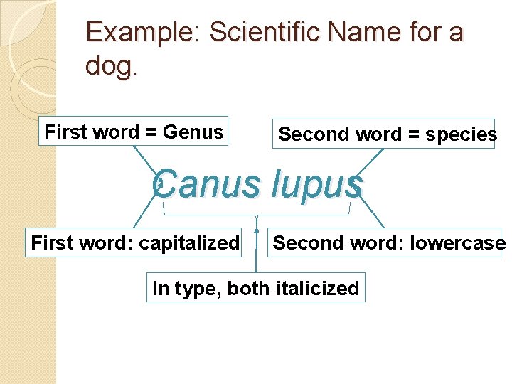 Example: Scientific Name for a dog. First word = Genus Second word = species