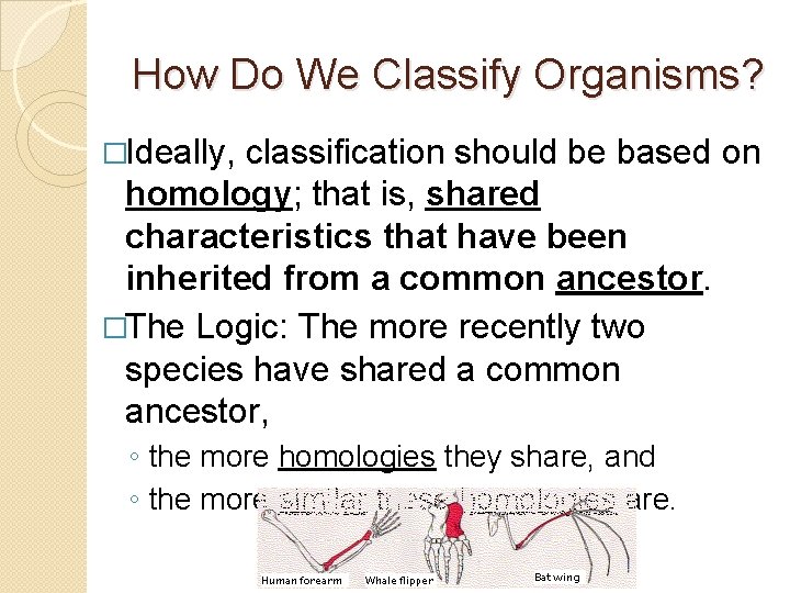 How Do We Classify Organisms? �Ideally, classification should be based on homology; that is,