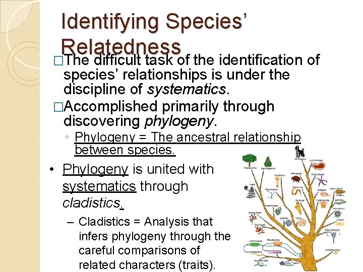Identifying Species’ Relatedness �The difficult task of the identification of species’ relationships is under