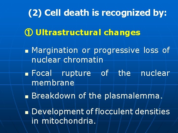 (2) Cell death is recognized by: ① Ultrastructural changes n n Margination or progressive