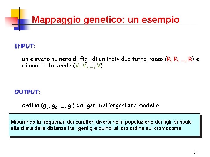 Mappaggio genetico: un esempio INPUT: INPUT un elevato numero di figli di un individuo