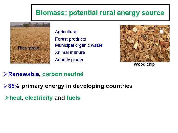 Biomass: potential rural energy source Agricultural Rice straw Forest products Municipal organic waste Animal