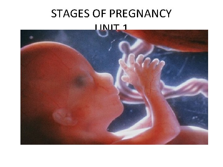 STAGES OF PREGNANCY UNIT 1 