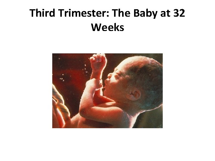 Third Trimester: The Baby at 32 Weeks 