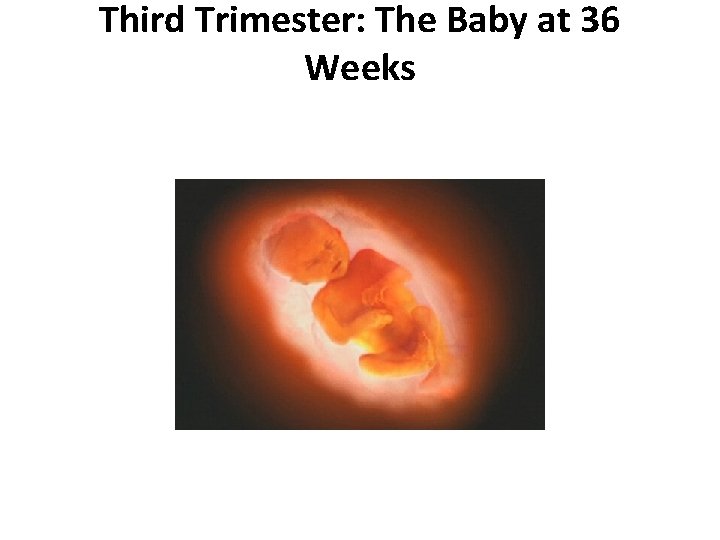 Third Trimester: The Baby at 36 Weeks Third Trimester: The Baby at 36 Weeks