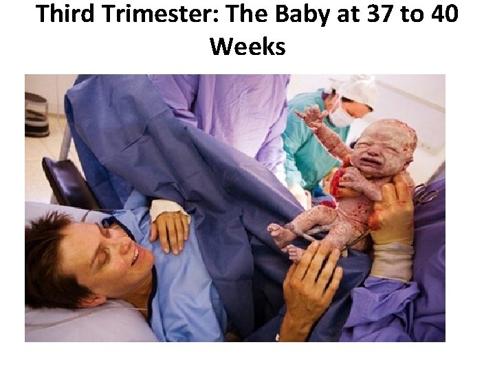 Third Trimester: The Baby at 37 to 40 Weeks 